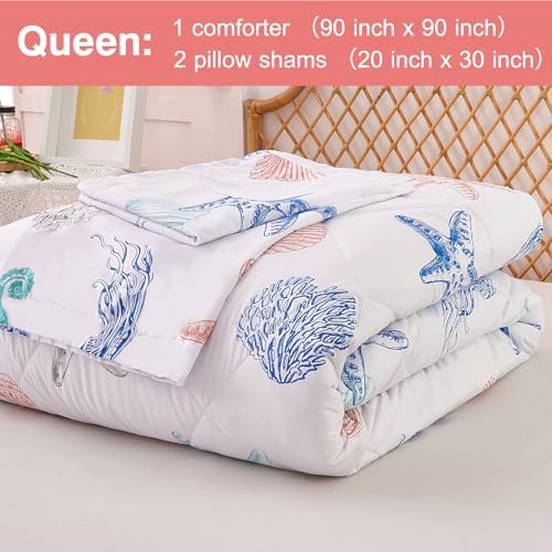 JSD 3 Piece Beach Theme Kids Comforter Set Queen Size