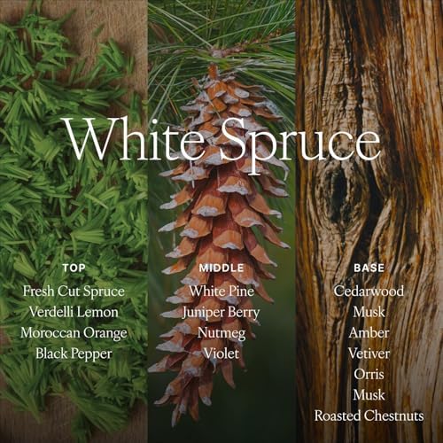 Antica Farmacista Reed Diffuser & Candle Set, White Spruce