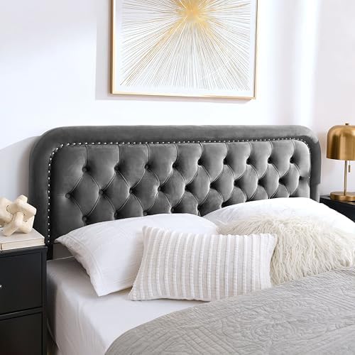 Tufted Upholstered Twin Size Headboard only - Button Solid Wood HeadBoards with Adjustable Height - Modern Velvet Padded Bed Headboard - Easy Assembly - Nailhead, Grey