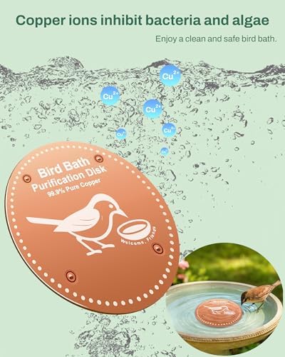 OICEME Bird Bath Purification Disk Pure Copper Outside Winter Solar Power Birdbath Wild Hummingbird Pedestal Fountain Cleaner Humming Feeder Cage Dispenser Bowl Ground Safe Garden Lover Women Gift