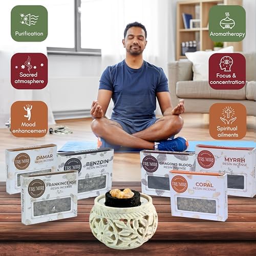 Resin Incense - Natural Tree Gum Sap - 6x30g Variety Pack Including Frankincense and Myrrh Copal Benzoin Dragon's Blood Damar