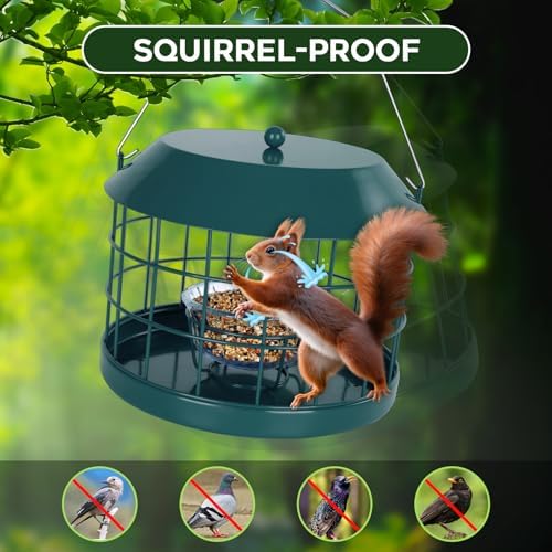 Gbekery Bluebird Feeder for Mealworms with Glass Bowl for Outdoors, Green