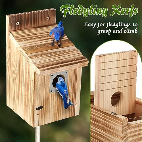 Dreyoo 4 Pack Bluebird Houses for Outside with Metal Predator Guard, 1-1/2" Entrance Hole Wooden Blue Bird Houses for Outdoors, Bluebird Nesting Box(Light Burnt Wood)