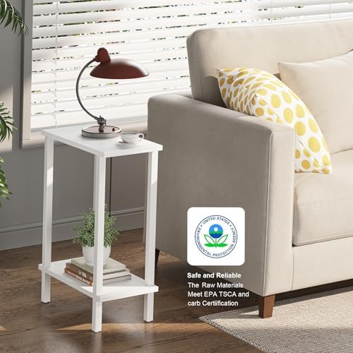 TUTOTAK Narrow Side Table, 2-Tier Small End Table for Couch