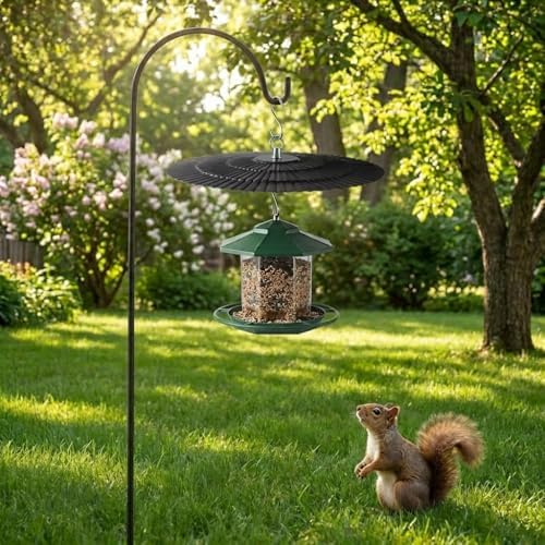 11.5" Metal Bird Feeder Rain Guard - Black