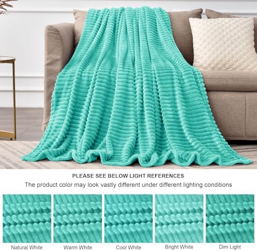 BEDELITE 3D Ribbed Jacquard Aqua Fleece Twin Blanket for Couch, 60x80 Inch