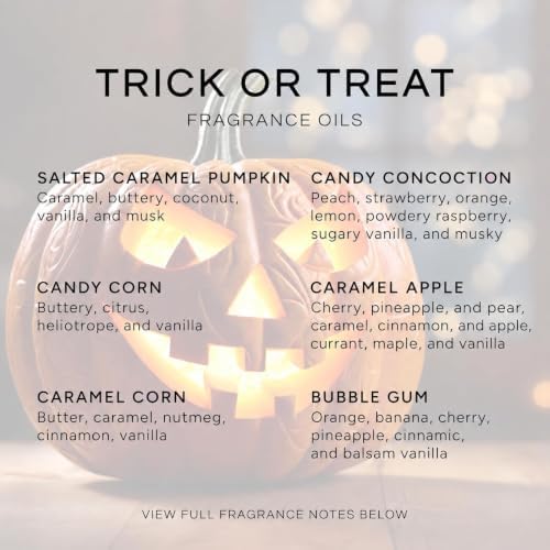 Eternal Essence Oils Set of 6 Premium Fragrance Oils - 10ML (Trick or Treat)