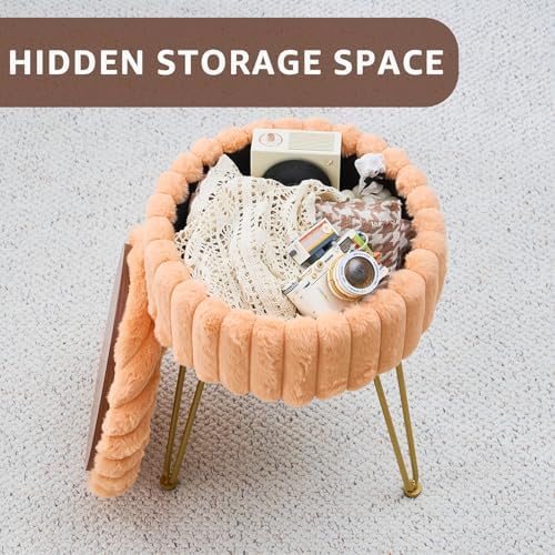 Wimarsbon Vanity Stool with Storage, Faux Fur Ottoman Chair with Metal Legs