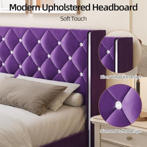 HOMBCK Twin Bed Frame with Velvet Headboard, Silverside Wingback, Purple