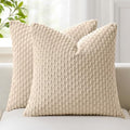 Kevin Textile Soft Corduroy 24x24 Inch Pillow Covers 2 Pack, Beige