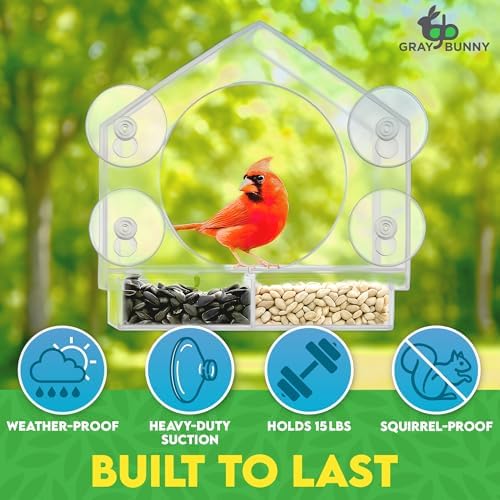 Gray Bunny Window Bird Feeder House – Suction Cup Mount Feeder