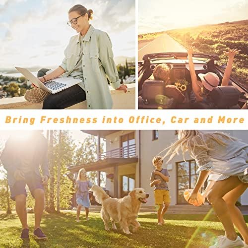 Summer Essential Oils, ESSLUX Premium Candle Fragrance Oil, Soap Making Scents, Essential Oils for Diffusers for Home, Ocean Breeze, Fresh Bellini, Rose Lychee, Tropical Fruits & More