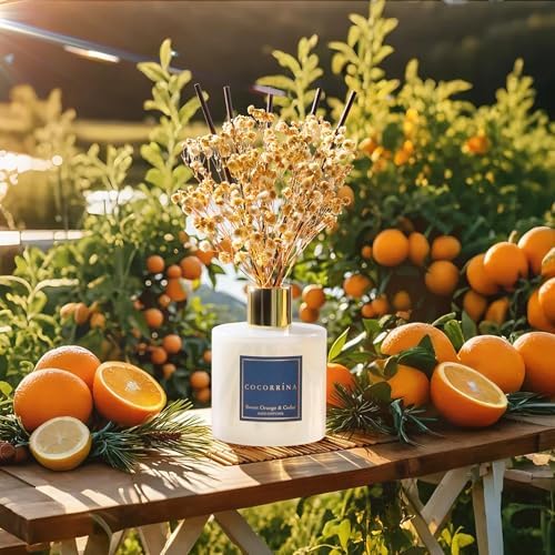 COCORRÍNA Reed Diffuser - Sweet Orange & Cedar 6.7 Fl.oz Reed Diffuser Set with Sticks & Preserved Baby's Breath, Reed Diffuser for Home Bathroom Shelf Decor