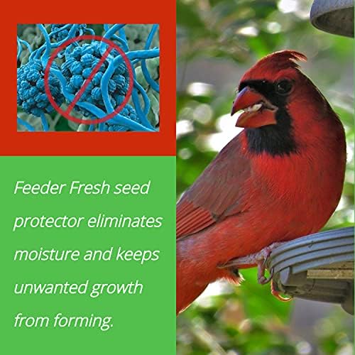 Feeder Fresh Bird Feeder and Seed Protector, Keep Seed Dry and Fresh, 16 oz