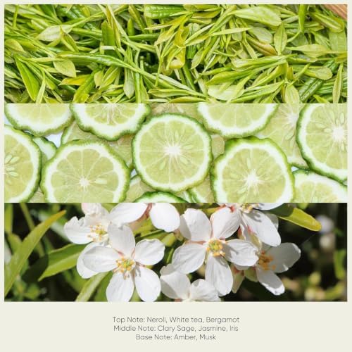 Lopeie White Tea Diffuser Oil – Essential Oil for Diffuser, Air Freshener & Room Spray – Long-Lasting with Notes of Tea, Neroli & Bergamot – Hotel Scent for Ultrasonic & Waterless Diffusers, 4.1 fl.oz