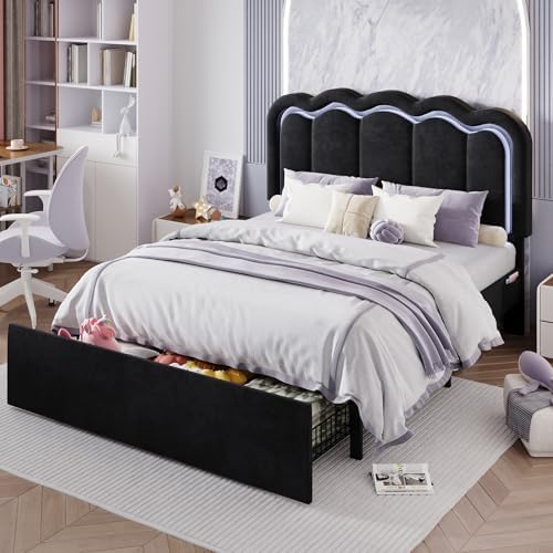 SHA CERLIN Queen Size Bed Frame with LED Lights and Storage Drawer, Black