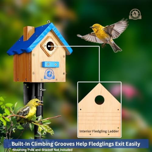 SISTERBIRD Birdhouses for Outdoors, Blue Hanging Wren House, Warming Gifts