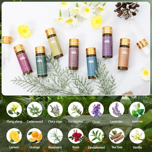 Fragrance Essential Oils Set - 14pcs, Aromatherapy Oils for Skin, Diffusers, Home Care, Humidifier Laundry, Candle Making - Tea Tree, Sandalwood, Lavender, Vanilla, Eucalyptus and More (5mL)