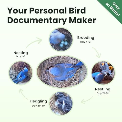 Birdfy Smart Bird House with Camera Solar Powered, 1080HD Live Video & Night Vision for 24/7 Nesting Recording, Auto Detect & Notify, Ideal Nature Gift for Bird Lovers, AI Identify Lifetime Free