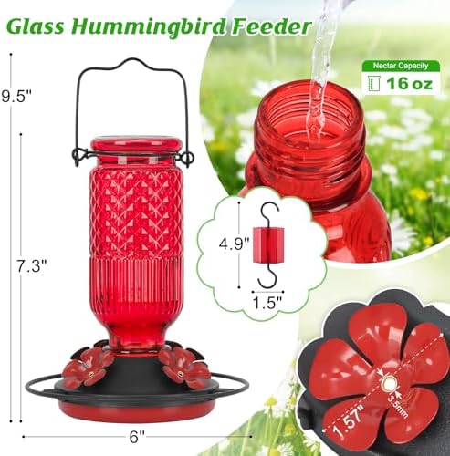 FEED GARDEN Glass Hummingbird Feeder for Outdoors, Leak-Resistant, 16 oz