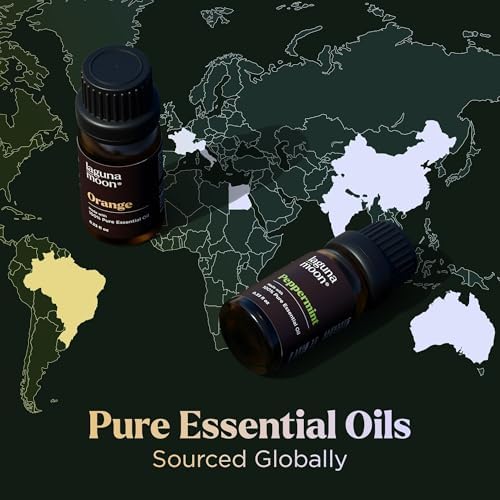 Essential Oils Set - 16 Pcs Premium Grade Home Essentials Oils - for Diffusers, Fragrance, Scents for Candle Making - Natural Aromatherapy Oils for Cars & Home Products, Room Sprays