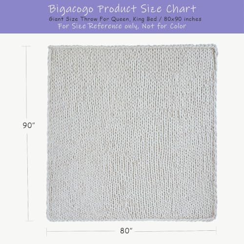 Bigacogo Chunky Knit Throw Blanket for Couch, 80x90 inches, Beige