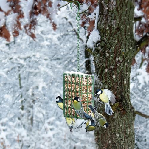 Bird Feeder for Outdoors, Suet Feeder for Outside Hanging Suet Basket Cage