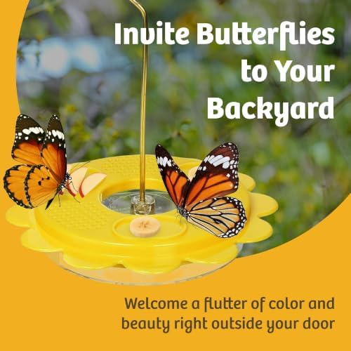 Birds Choice Flutterby Butterfly Feeder with Brass Hanging Rod