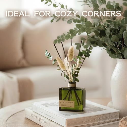 COCORRÍNA Dried Flowers Reed Diffuser, Moroccan Amber Scent 6.76 fl oz