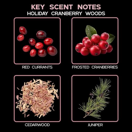 Reed Diffuser Set, Holiday Red Currant & Woods Scented Oil Diffuser with Sticks, Home Fragrance Accessories for Bathroom Shelf Decor, Aroma Diffusers for Home or Office Desk, USA Made