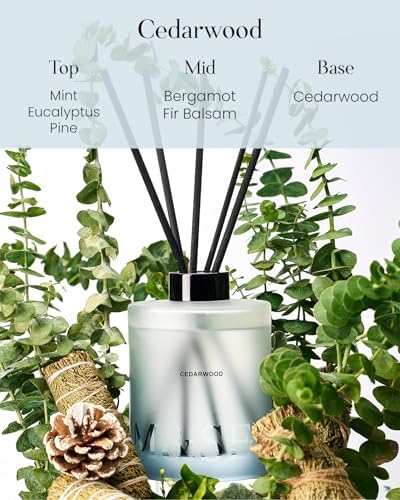M&SENSE Reed Diffuser Set, Cedarwood, 17 oz Natural Essential Oil
