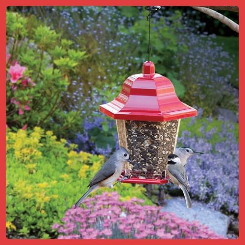 Pennington Select Birder's Blend, Bird Seed for Outside Feeders, 15 lbs.