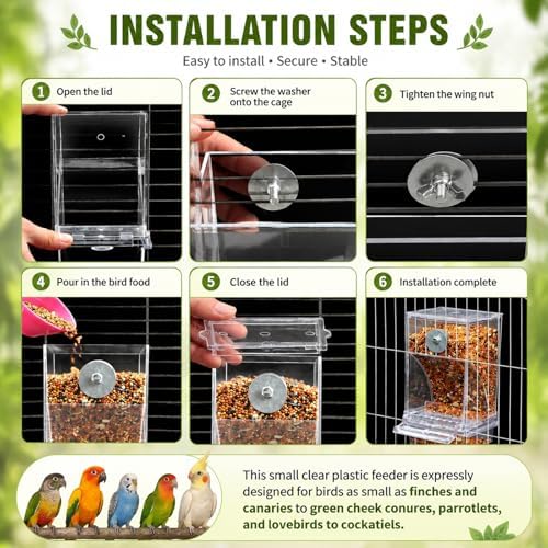 Rypet No-Mess Bird Feeder and Water Dispenser Set for Small Birds