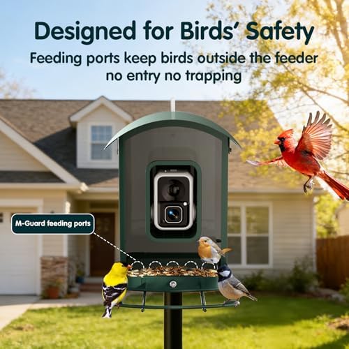 4K Smart Bird Feeder with Camera,No Subscription,Solar Powered