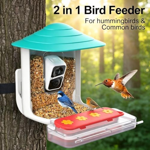 birdsnap® Hummingbird Feeder Perch, 2-in-1 Jelly & Water Feeder Box