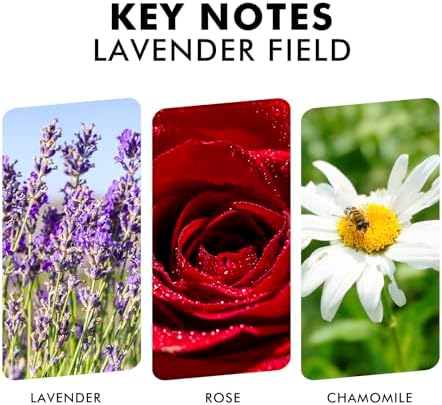 Xcleen Reed Diffuser Set, Lavender Field Oil Diffuser with Sticks, Long-Lasting Home Fragrance Reed Diffusers for Bathroom Shelf Office Decor, Luxury Air Fresheners 3.7 oz(110ml)