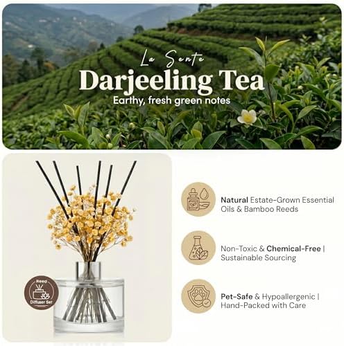 Reed Diffuser Set, Darjeeling Tea Scent, 6.7oz / 200 ml