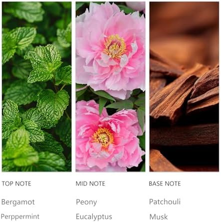 Eucalyptus Mint Revive Diffuser Scent Oil 120ML