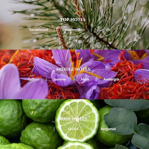 Blacktail Ridge Diffuser Oil Inspired by Baccarat Luxury Hotel Scent,100 mL