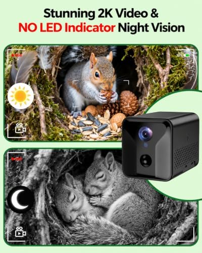 KinetCam Smart Squirrel Box with Camera,Separate Camera Bay,Solar-Powered