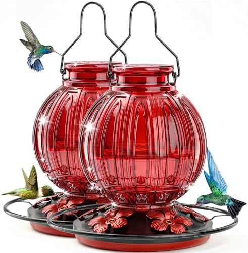 2PC Glass Hummingbird Feeder for Outdoor Hanging, 26 oz Bird Nectar Feeder