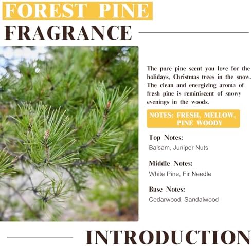 EUQEE 2.02 Fl oz Forest Pine Fragrance Oil for Bath Bombs Making