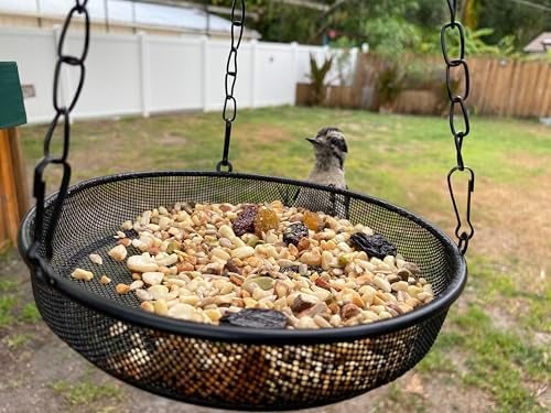 Bird Feeder, Hanging Platform Bird Feeder, Mesh Tray