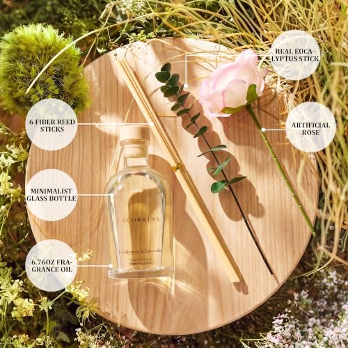 COCORRÍNA Reed Diffuser Eucalyptus Lavender Scent 6.76 fl oz Home Fragrance