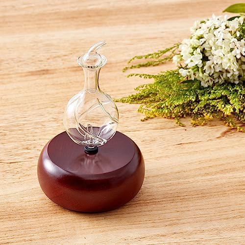 Nebulizing Pure Essential Oil Aromatherapy Diffuser, Premium Home & Professional Use, No Heat, No Water, No Plastic – Dark Radiance by Organic Aromas