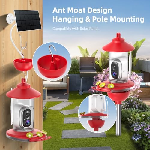 SOLIOM Hummingbird Feeder with Camera, 2K Smart AI Video, Solar Powered