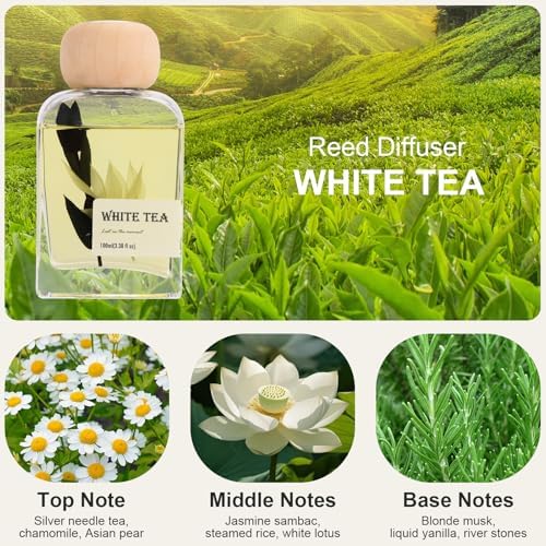 White Tea Reed Diffuser, 3.34 Fl Oz