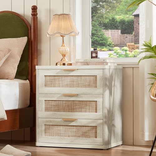 LEYAOYAO Rattan 23" Nightstands with Drawers for Bedroom
