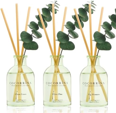 COCORRÍNA Reed Diffuser Set of 3 with Dried Eucalyptus for Home & Office