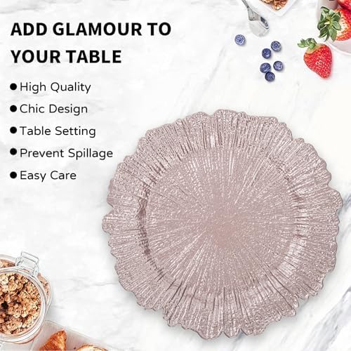 MAONAME Pink Charger Plates Set of 6, Reef Chargers for Dinner Plates